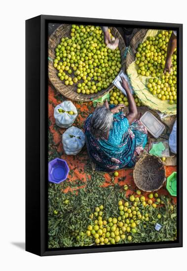 Lemon Seller, K.R. Market, Bangalore (Bengaluru), Karnataka, India-Peter Adams-Framed Premier Image Canvas