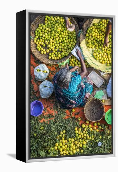 Lemon Seller, K.R. Market, Bangalore (Bengaluru), Karnataka, India-Peter Adams-Framed Premier Image Canvas