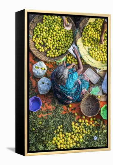 Lemon Seller, K.R. Market, Bangalore (Bengaluru), Karnataka, India-Peter Adams-Framed Premier Image Canvas