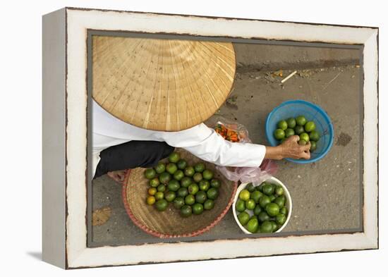 Lemon Seller, Market in the Old Quarter, Hanoi, Vietnam, Indochina, Southeast Asia, Asia-Bruno Morandi-Framed Premier Image Canvas