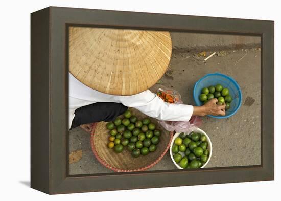 Lemon Seller, Market in the Old Quarter, Hanoi, Vietnam, Indochina, Southeast Asia, Asia-Bruno Morandi-Framed Premier Image Canvas