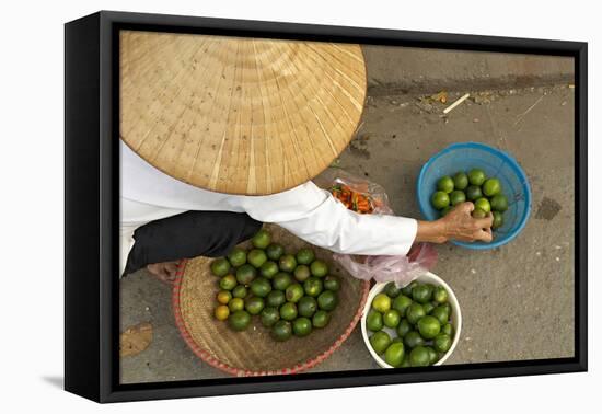 Lemon Seller, Market in the Old Quarter, Hanoi, Vietnam, Indochina, Southeast Asia, Asia-Bruno Morandi-Framed Premier Image Canvas