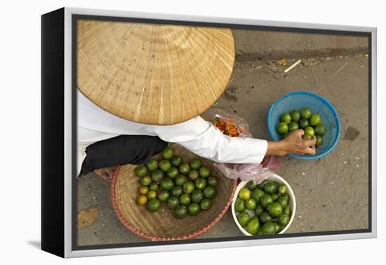 Lemon Seller, Market in the Old Quarter, Hanoi, Vietnam, Indochina, Southeast Asia, Asia-Bruno Morandi-Framed Premier Image Canvas