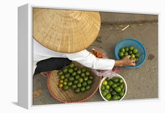 Lemon Seller, Market in the Old Quarter, Hanoi, Vietnam, Indochina, Southeast Asia, Asia-Bruno Morandi-Framed Premier Image Canvas