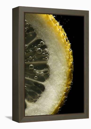 Lemon Slice-Linda Wright-Framed Premier Image Canvas