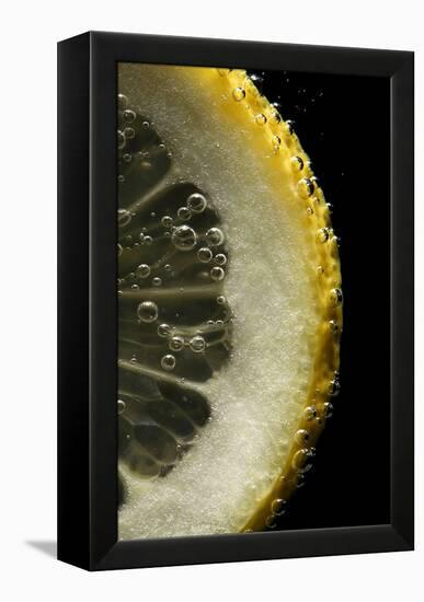 Lemon Slice-Linda Wright-Framed Premier Image Canvas