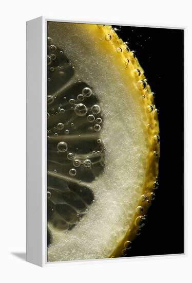 Lemon Slice-Linda Wright-Framed Premier Image Canvas