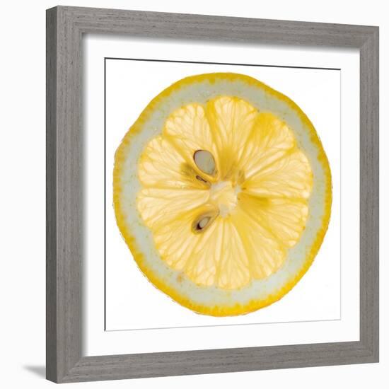 Lemon Slice-Steve Gadomski-Framed Photographic Print