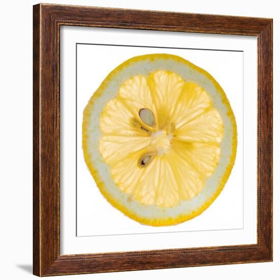 Lemon Slice-Steve Gadomski-Framed Photographic Print