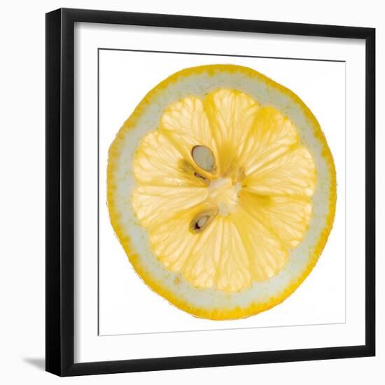 Lemon Slice-Steve Gadomski-Framed Photographic Print