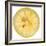 Lemon Slice-Steve Gadomski-Framed Photographic Print