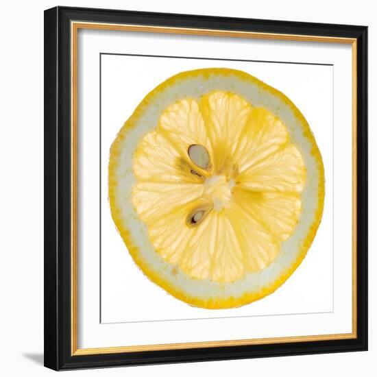 Lemon Slice-Steve Gadomski-Framed Photographic Print