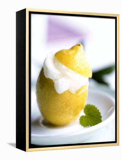 Lemon Sorbet in a Hollowed-out Lemon-Alena Hrbkova-Framed Premier Image Canvas