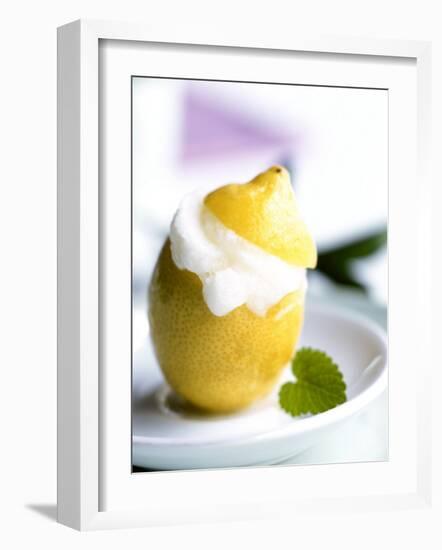 Lemon Sorbet in a Hollowed-out Lemon-Alena Hrbkova-Framed Photographic Print