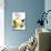 Lemon Sorbet in a Hollowed-out Lemon-Alena Hrbkova-Photographic Print displayed on a wall