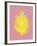 Lemon Splash-Myriam Tebbakha-Framed Giclee Print