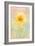 Lemon Spritz-Jacky Parker-Framed Giclee Print