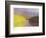 Lemon Squeeze-unknown Kahn-Framed Art Print