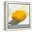 Lemon Still Life-Pamela Munger-Framed Stretched Canvas