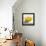 Lemon Still Life-Pamela Munger-Framed Stretched Canvas displayed on a wall