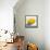 Lemon Still Life-Pamela Munger-Framed Stretched Canvas displayed on a wall