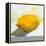 Lemon Still Life-Pamela Munger-Framed Stretched Canvas