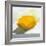 Lemon Still Life-Pamela Munger-Framed Art Print