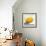 Lemon Still Life-Pamela Munger-Framed Art Print displayed on a wall