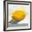 Lemon Still Life-Pamela Munger-Framed Art Print