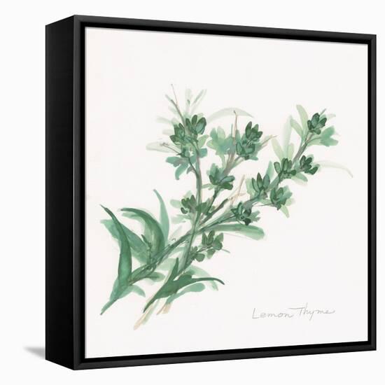 Lemon Thyme-Chris Paschke-Framed Stretched Canvas