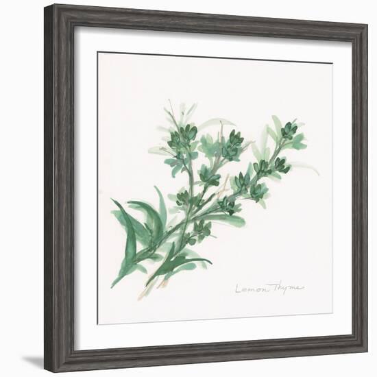 Lemon Thyme-Chris Paschke-Framed Premium Giclee Print