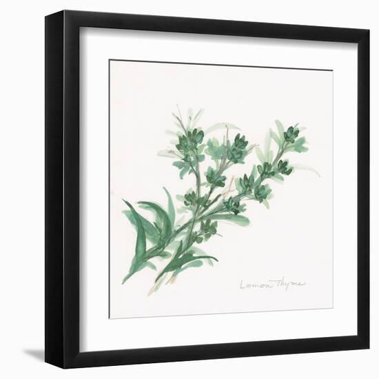 Lemon Thyme-Chris Paschke-Framed Art Print