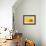 Lemon Top-Steve Gadomski-Framed Photographic Print displayed on a wall