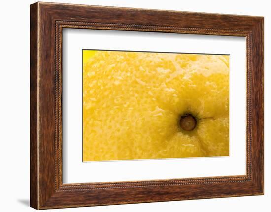 Lemon Top-Steve Gadomski-Framed Photographic Print