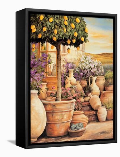 Lemon Topiary-null-Framed Stretched Canvas