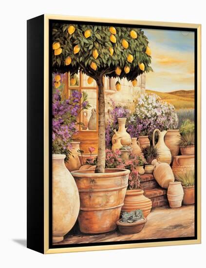 Lemon Topiary-null-Framed Stretched Canvas