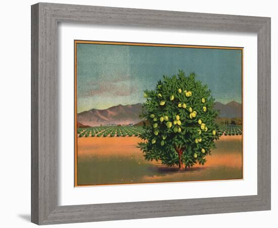 Lemon Tree and Orchard - Citrus Crate Label-Lantern Press-Framed Art Print