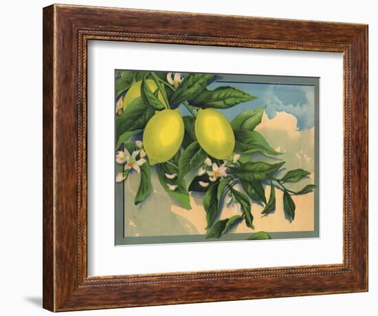 Lemon Tree Branch - Citrus Crate Label-Lantern Press-Framed Art Print