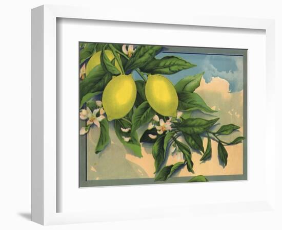 Lemon Tree Branch - Citrus Crate Label-Lantern Press-Framed Art Print