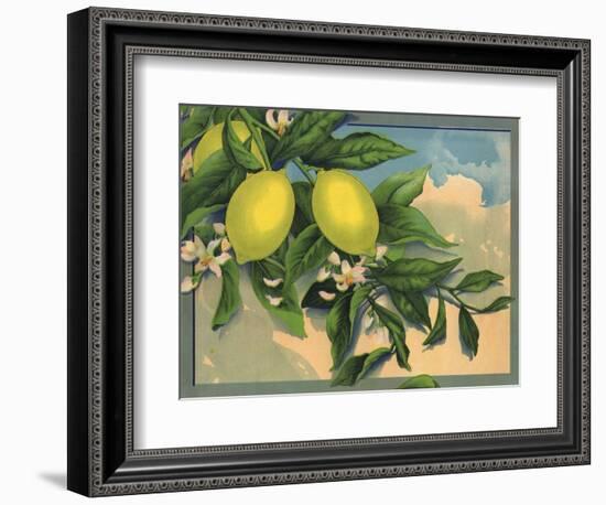 Lemon Tree Branch - Citrus Crate Label-Lantern Press-Framed Art Print