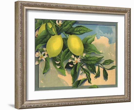 Lemon Tree Branch - Citrus Crate Label-Lantern Press-Framed Art Print