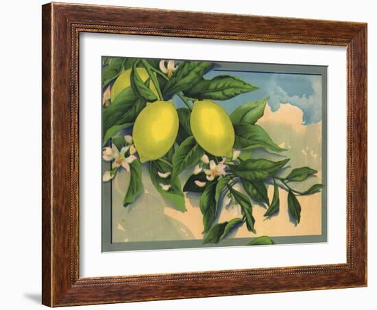 Lemon Tree Branch - Citrus Crate Label-Lantern Press-Framed Art Print