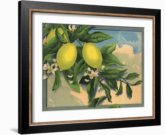 Lemon Tree Branch - Citrus Crate Label-Lantern Press-Framed Art Print