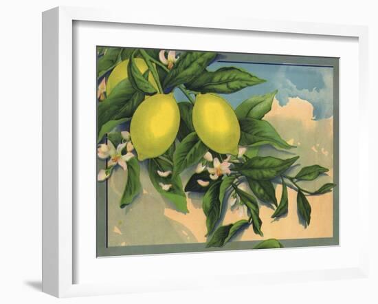 Lemon Tree Branch - Citrus Crate Label-Lantern Press-Framed Art Print