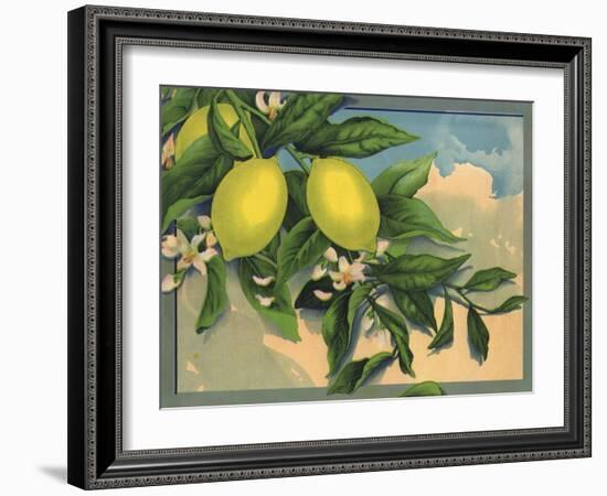 Lemon Tree Branch - Citrus Crate Label-Lantern Press-Framed Art Print