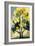 Lemon Tree III-Lea Faucher-Framed Art Print