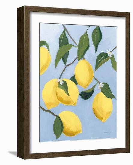 Lemon Tree Light-Pamela Munger-Framed Art Print