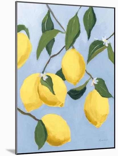 Lemon Tree Light-Pamela Munger-Mounted Art Print