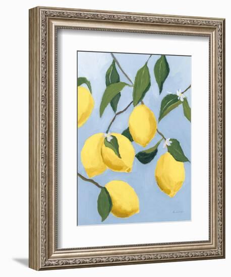 Lemon Tree Light-Pamela Munger-Framed Premium Giclee Print