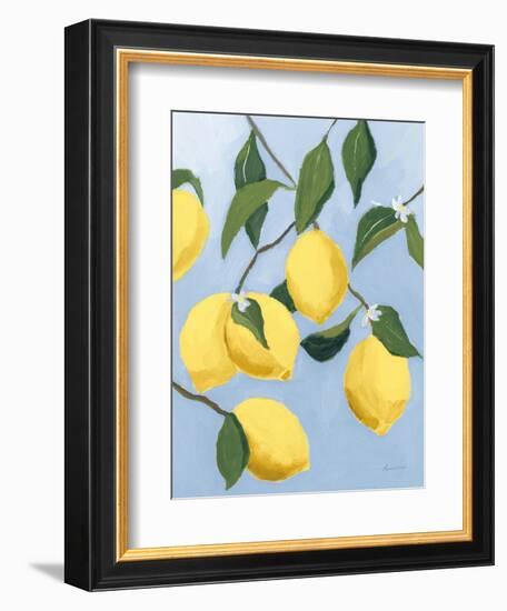 Lemon Tree Light-Pamela Munger-Framed Premium Giclee Print